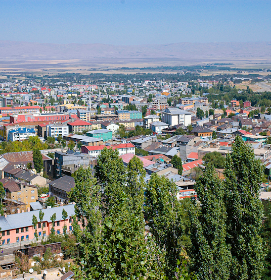 Muş