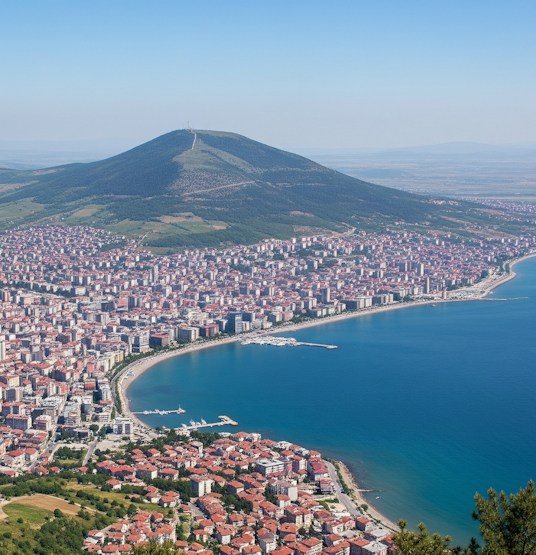Ordu